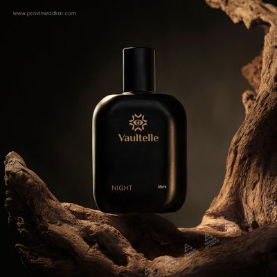 logo-designer-in-india-vaultelle