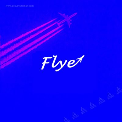 logo-designerin-in-india-flye